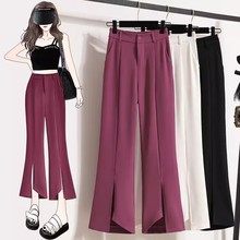 羳s΢ѝŮļ2024¿ѝ_ҎtrOӋb˷ѝ