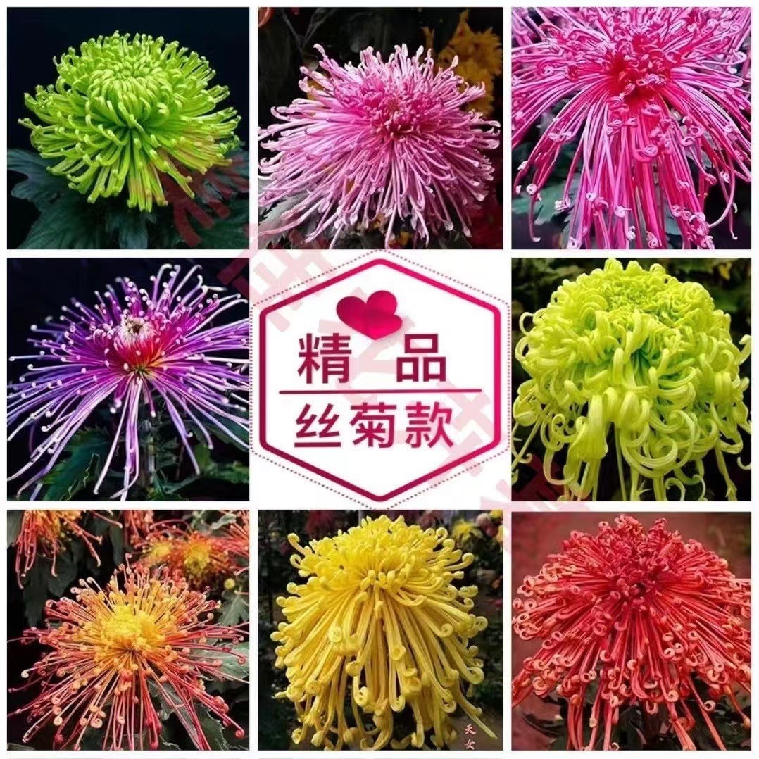 商品图