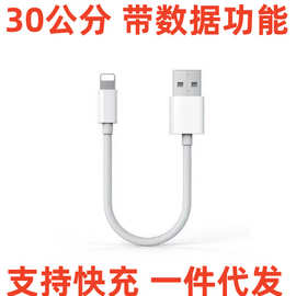 30cm苹果数据线 白色适用于苹果数据线蓝牙耳机充电线30cm配机线