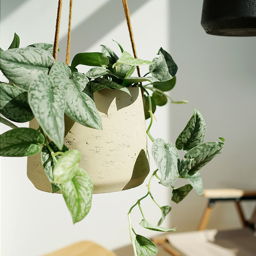 Nordic wall hanging cement hanging flower pot hanging plant hanging basket wall hanging basin hanging balcony spider orchid potted plant