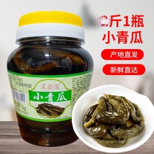 小青瓜酱菜甜脆酱瓜袋装酱瓜条片腌黄瓜蜜汁脆瓜酱乳瓜下饭菜泡菜