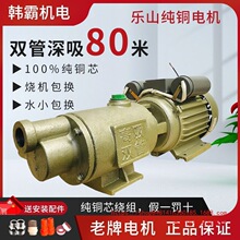 ������ü���ȫ�ԄӸߓP���ݗU�����Æ����������ˮ�C220V����