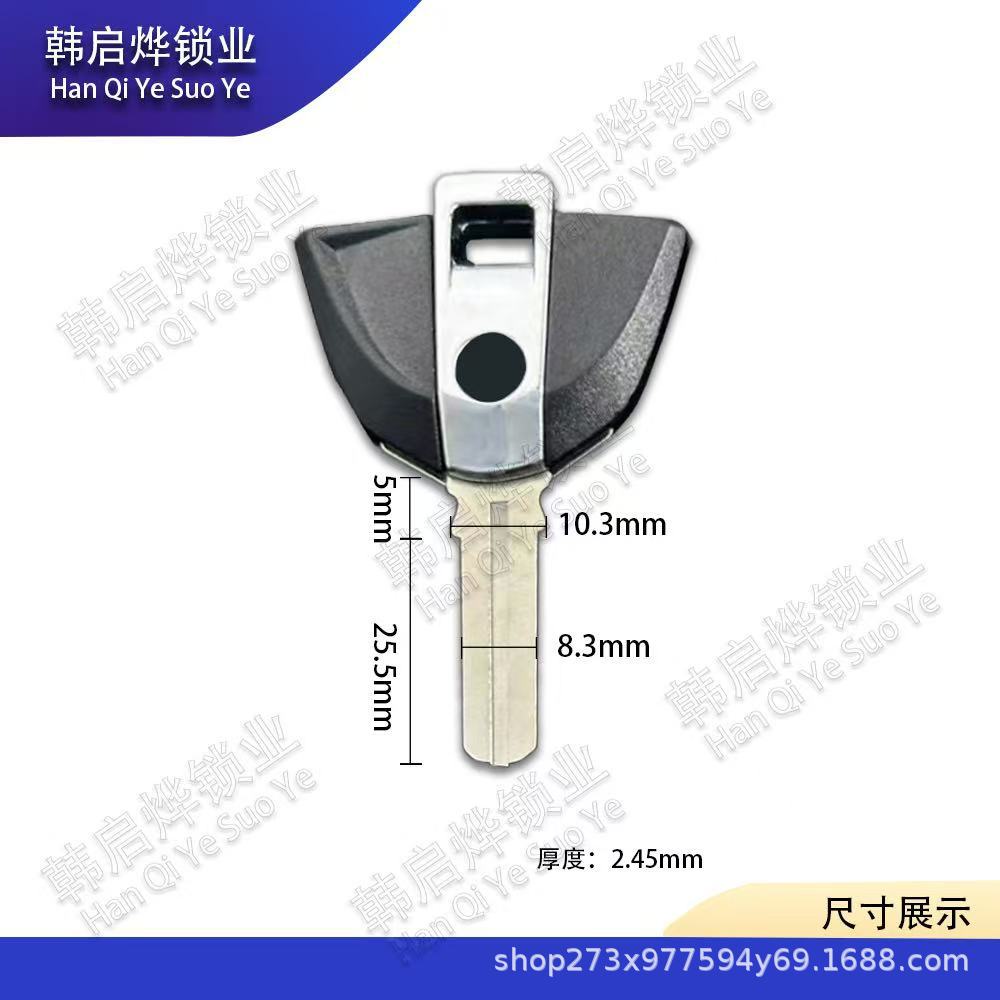 Suitable for Baofu F650 F700 F800Gs R1000Rr R1200Gs Motorcycle Chip Key Embryo