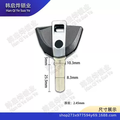 Suitable for Baofu F650 F700 F800Gs R1000Rr R1200Gs Motorcycle Chip Key Embryo (Motorcycle Key) - bmw-102-black-305186245mm