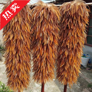 �uë������ë�Ӻ��ֹ�������܇�ýY���^����m�߻Ҽ҄���ʽ�U��