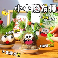 玩具先生頭上長草頭娃娃小盆栽幼兒園觀察生長水培種植物學生禮物