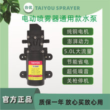 �r��늄Ӈ��F��ˮ�� 늄Ӈ��F����� 12V���ܿ� �߉����ʸ�Ĥ��