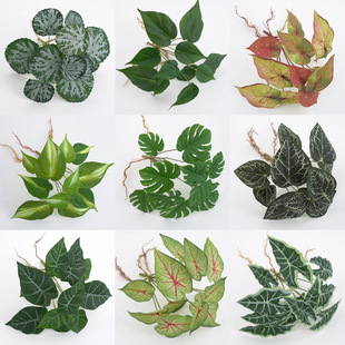 ��Ʒ����ֲ��Gֲ�~�� ����[������ �����~�ع��~�҃��b���