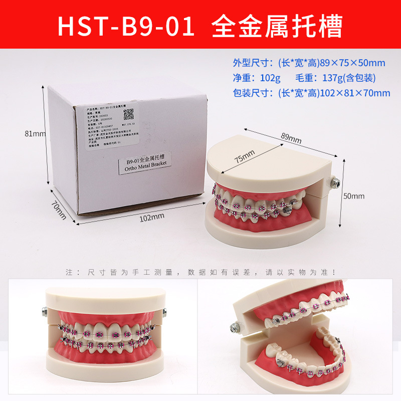 Modelo de ortodoncia dental semi-metal semibrackets Práctica de corrección de molde dental estándar Comunicación médico-paciente Modelo de enseñanza Modelo dental