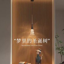 新款创意玄关小吊灯现代轻奢氛围感卧室床头可升降吊线灯中山灯具