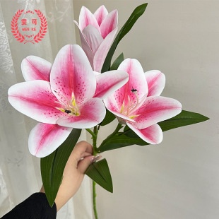�S�����l����3�^�ٺϻ� PU�ٺϻ��Ҿ��b��z���ٻ��Ӽһ�Y����