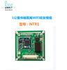 1000 M transmission distance,high-power WIFI wireless Transceivers module Model: NTR1