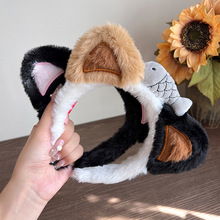 ���ļ��¿�С�t��ͬ���^ɐ�؈����l���W����ë�qС�ܰl���l�