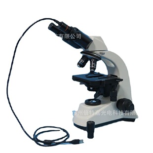 S500B�͌���ҌW���@΢�R �pĿ���a�����@΢�R �������Ŀ�R