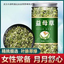 益母草茶材新鲜食用泡水喝小袋装茶包干的搭红糖天通用泡