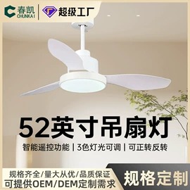 电风扇;风扇灯;USB风扇