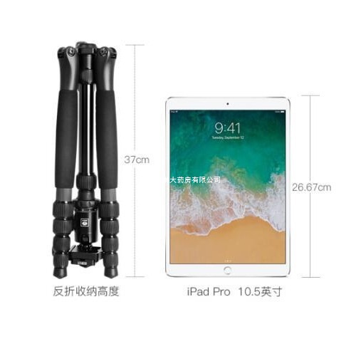 现货 思锐E120+Y12三脚架碳纤维含云台单反相机反折可变独脚架