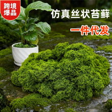 ����z��̦�\��Ƥ��������ë������̦΢���^ë�q�Gֲ���̺��ƺ�K