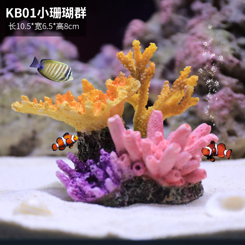 珊瑚01号