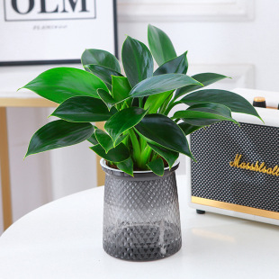 �Gֲ���~�������ֲ��G�}�҃Ȼ���ˮ���f��������҃���������ȩ