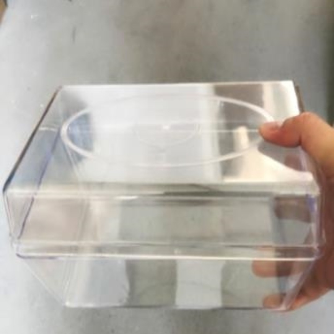 种子发芽盒 型号 13*19*12cm库号 M262329