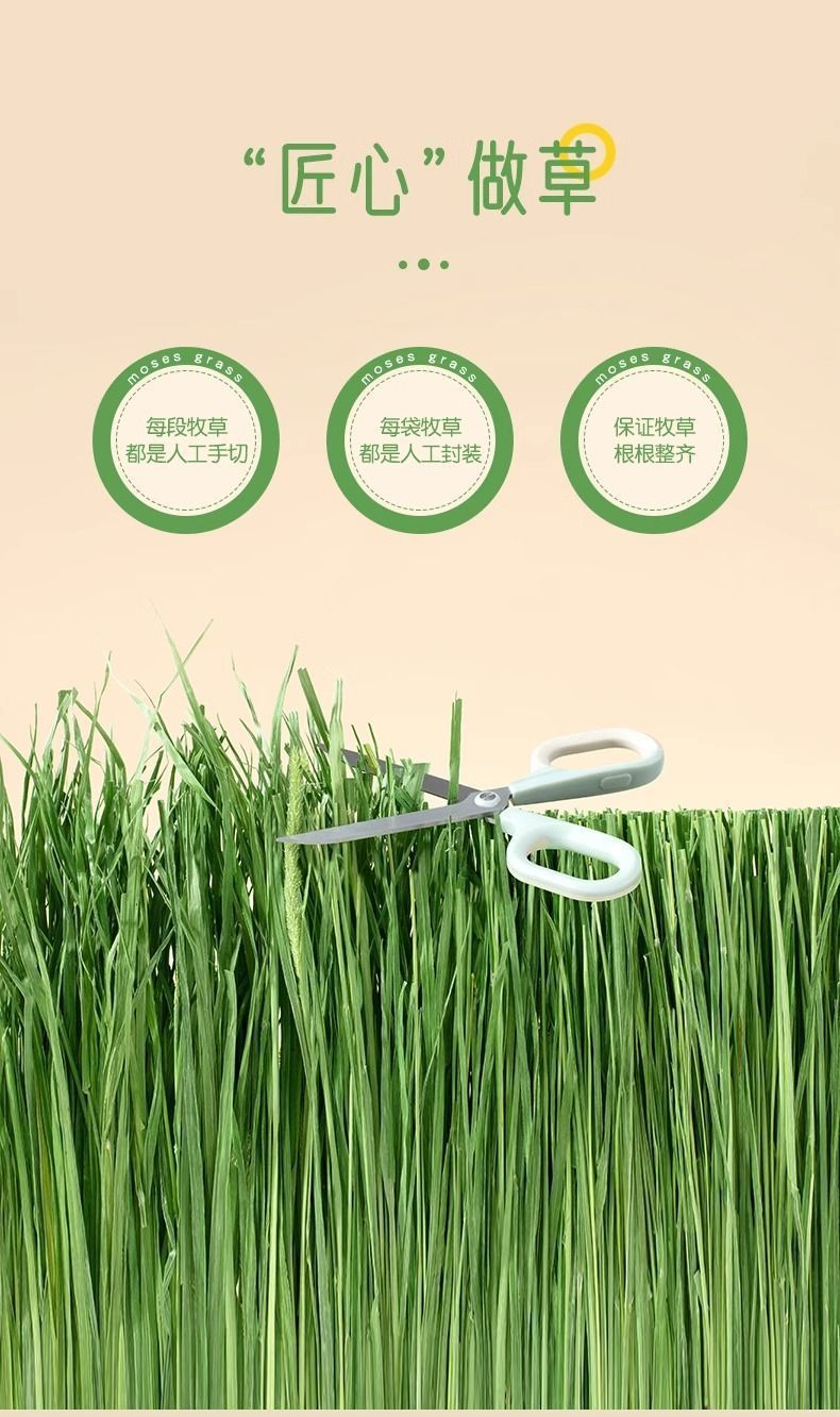 bac5a32f-1e55-42ab-87e6-45086b76a3a3.jpe