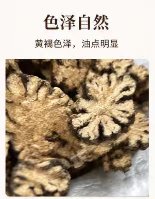 Chuan Xiong Sliced Sichuan Lovage Rhizome Dried Herb for Decoction and Culinary Use 1000g Bag key features