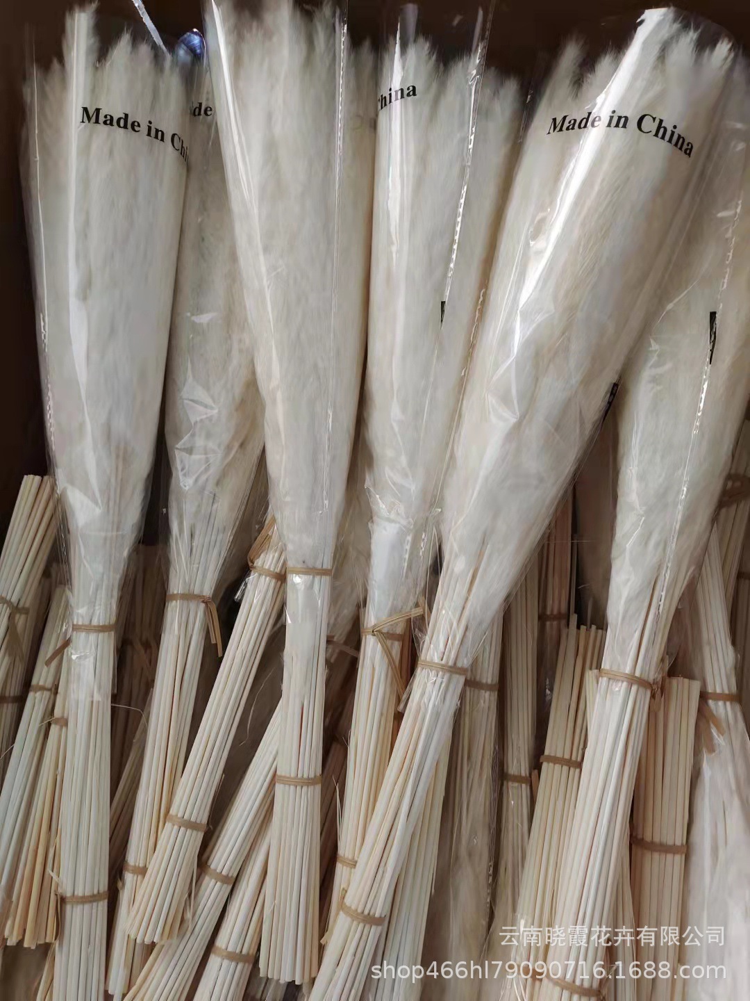 24c54078331f0fec8a6bacc9bcc42a