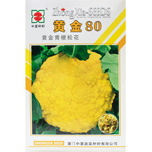 黄金80/100黄色花菜种子青梗松花菜种籽花椰菜彩花菜秋季特色蔬菜