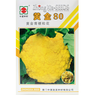 �S��80/100�Sɫ���˷N���๣�ɻ��˷N�ѻ�Ҭ�˲ʻ����＾��ɫ�߲�