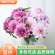 �������ҾӼٻ�������ƿ�[�� ��c�Ҿ�����b� �������������