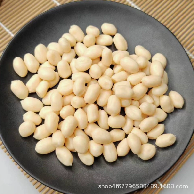 Симуляция зерна разное зерно кофе bean рис изюм лотосовое семя поясничный поясничный красная бобовая фасоль, машиное бобовая модель