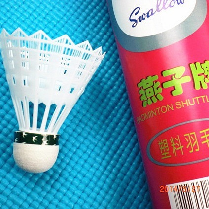 ツバメのプラスチックバドミントンの学生はナイロンバドミントンを練習します。|undefined