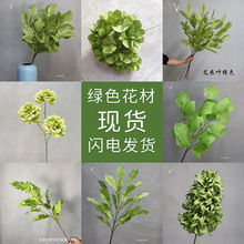 �Gɫֲ���~��õ��ĵ��������w��ײ��~�Ͳ��~�O���~�����~����G