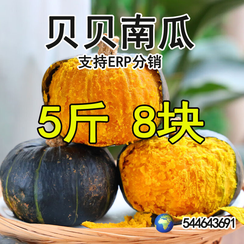 [in Stock] Beibei Pumpkin 2.5kg Directly Shipped from Origin, Fresh Chestnut Flavor Beibei Mini Pumpkin, Fresh Vegetables