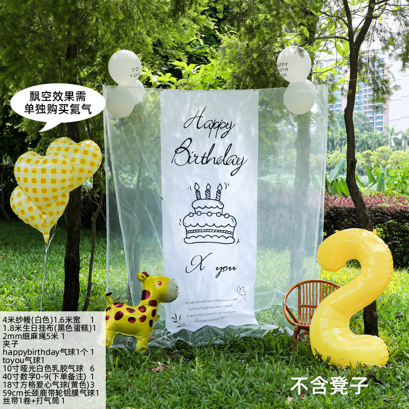 小红薯同款户外生日场景氛围布置装饰网纱背景挂布6周岁男孩拍照|undefined