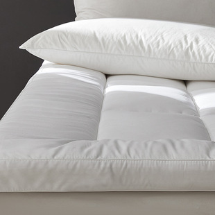 High-end Japanese five-star hotel mattress thickened three-dimensional padded feather velvet student dormitory antibacterial mattress