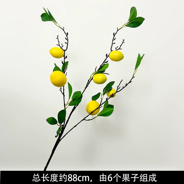 6 lemon