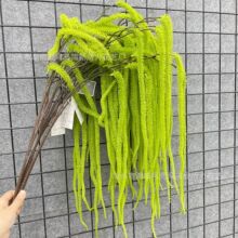 �S�����l����Gֲ���� ���滨�Ļ�c�Gֲ��Y���Ñ���廨�Y�û�