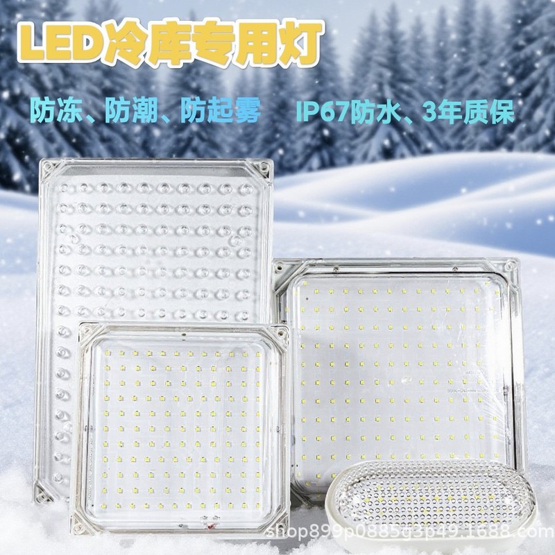 智控LED冷库专用灯15W-100W（307新）防水防冻防潮椭圆 方形智控|undefined
