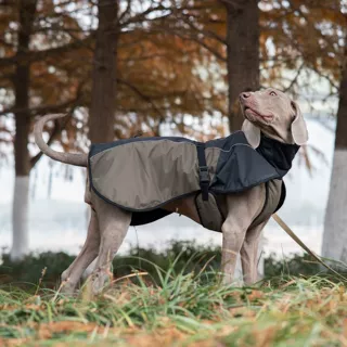 新款保暖宠物衣服无袖反光中大型犬史宾格猎犬棉衣冲锋衣防风防水