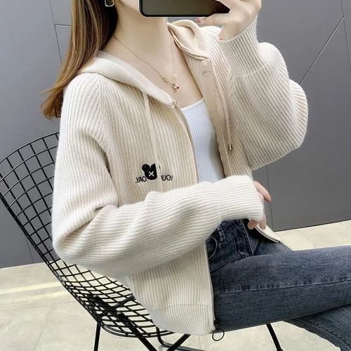 Casual Short Women's Jacket Spring and Autumn Season Korean Style Loose Fashion Small Figure Hooded Solid Color Knit Cardigan