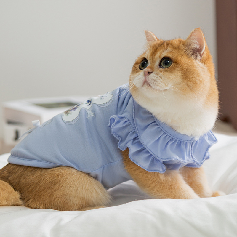 Primavera y verano gato dibujos animados conejito chaleco con cuello de encaje gato sin pelo gatito de dos patas delgado perro ropa para mascotas