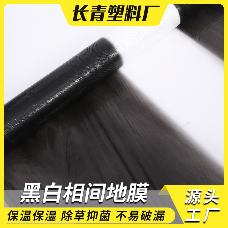 Membrana agrícola Membrana negra Membrana especial en blanco y negro para plantación de fresas Membrana blanca transparente de aislamiento térmico Membrana vegetal