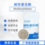 碱性洗涤工业级制革蛋白酶