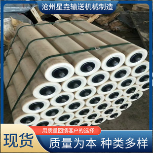 Conveyor Accessories Nylon Roller Conveyor Belt Polymer Polyethylene Roller Rubber Power Plant Nylon Roller