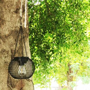 ���R�d̫����Fˇ�W����\�͹žW��������⻨�@ͥԺ�b��U�շ�ˮ