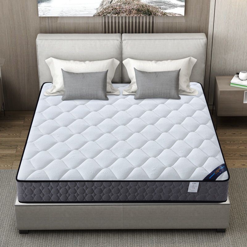 Mattress Soft and Hard Dual-Use 20cm Thick 1.95m m Household Double Economical Coconut Palm Spring Mattress Amazon
