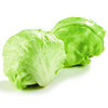 Balls of lettuce, lettuce seed seed seed seed seed seeds, seeds, autumn and winter, four seasons, green vegetables, four seasons sowing sparse vegetables