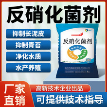 海诚水产养殖反硝化细菌 降氨氮净化水质稳定藻相亚硝酸盐速降